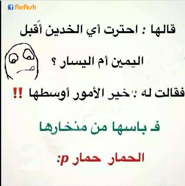 ����� ������ ����� �� ����