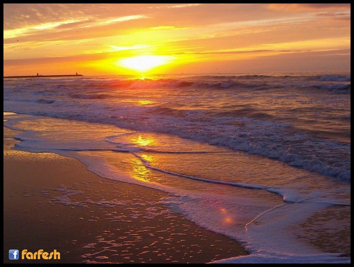 ���� ����� ������