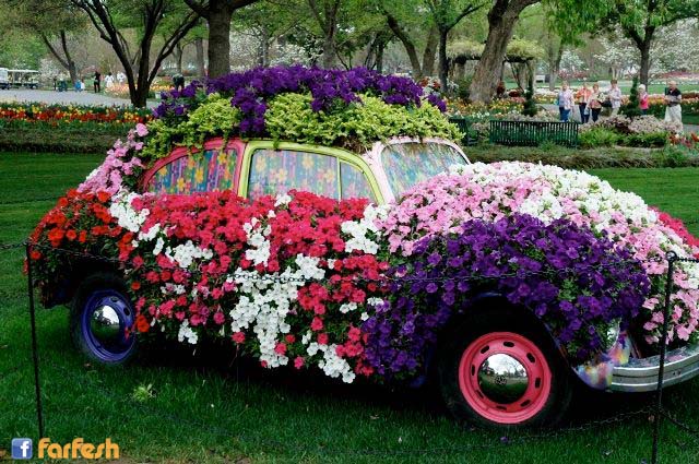 ���� ���� �� �������