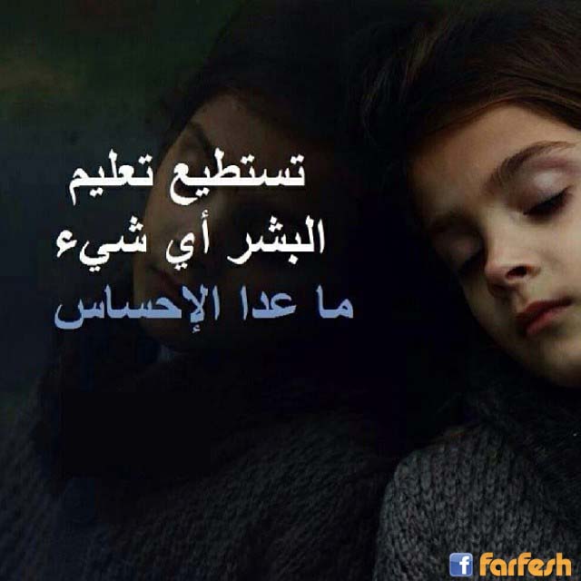 ��� ��� ���� �� �����