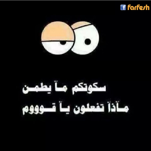 ���� ���� ���� �� ������