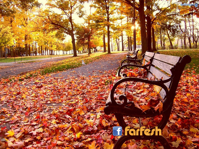 ���� ���� ������