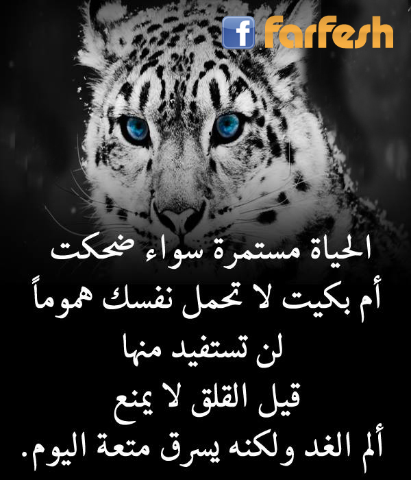 ������ ������ ���� ���� �� ����