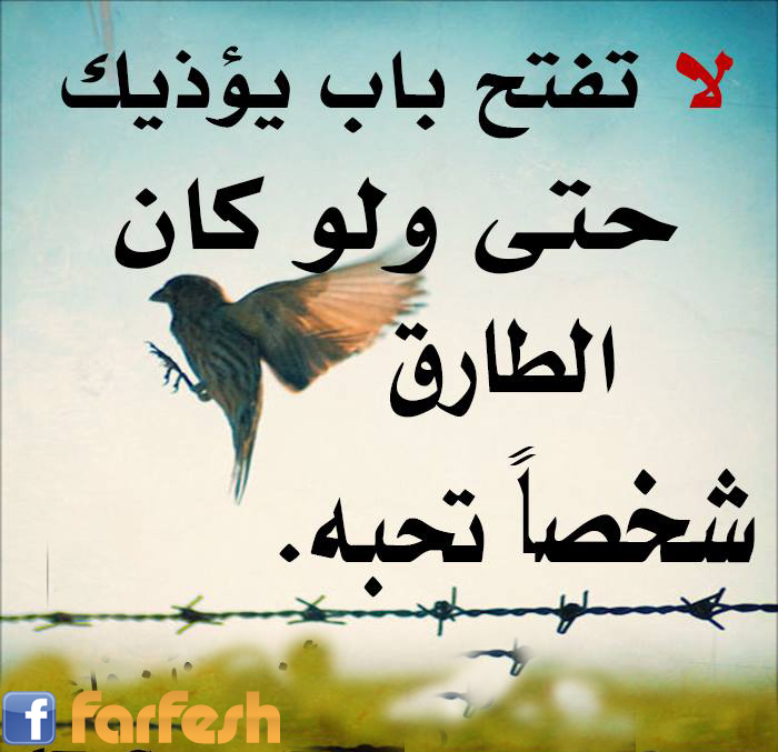 �� ���� ��� �����