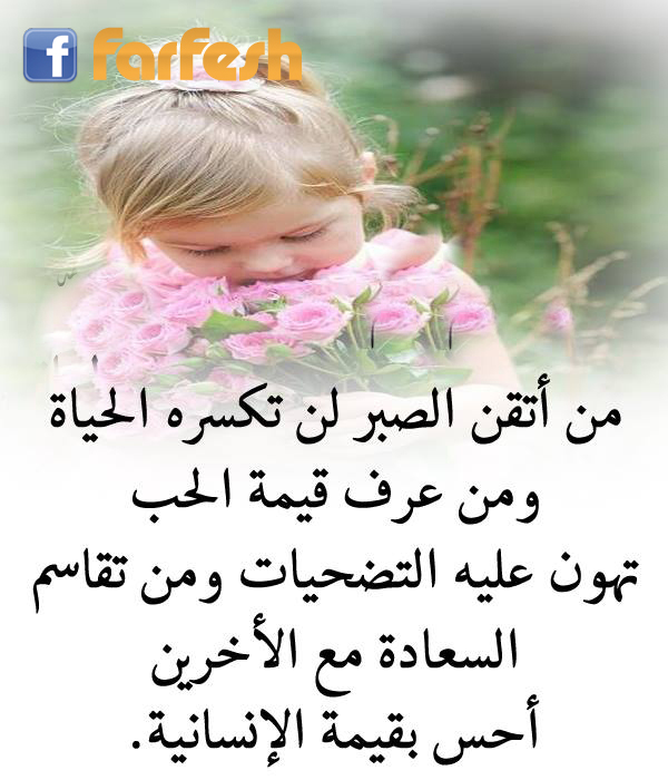 �� ���� ����� �� ���� ���� ������