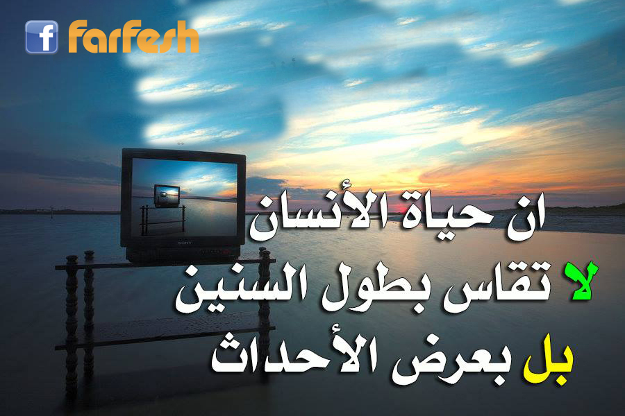 �� ������ �� ���� ���� ������