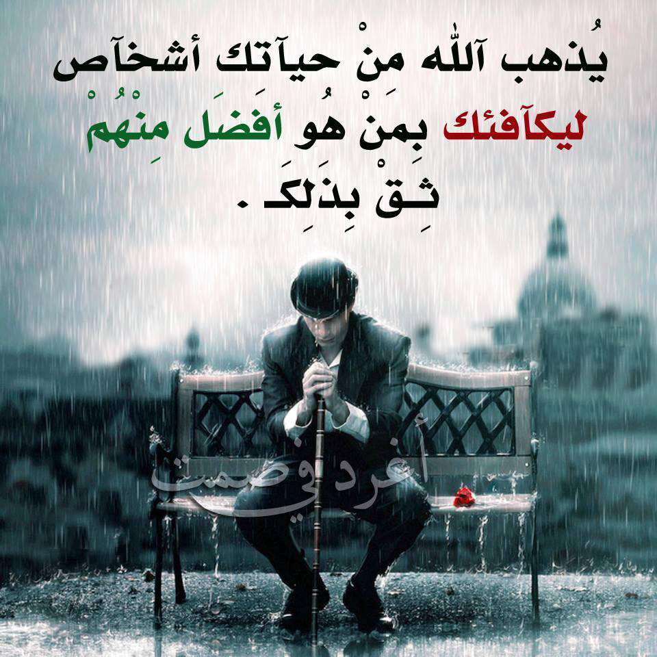 ���� �����.. ����� ���� ��...�� ����