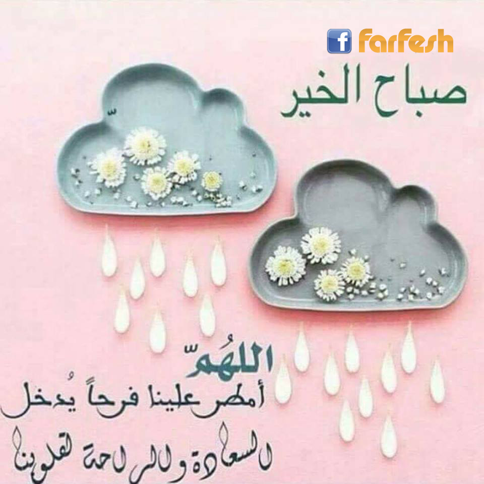 ���� �����