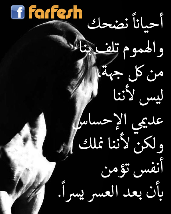 �� �� ����� ���� 