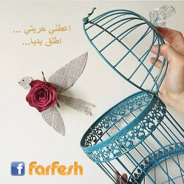 ����� ����� ���� ����