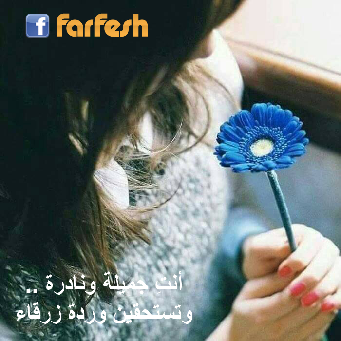 ���� ����� ������ .. �������� ���� �����.