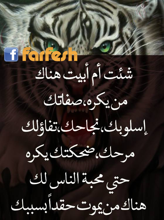 ��� �� ���� ��� ������