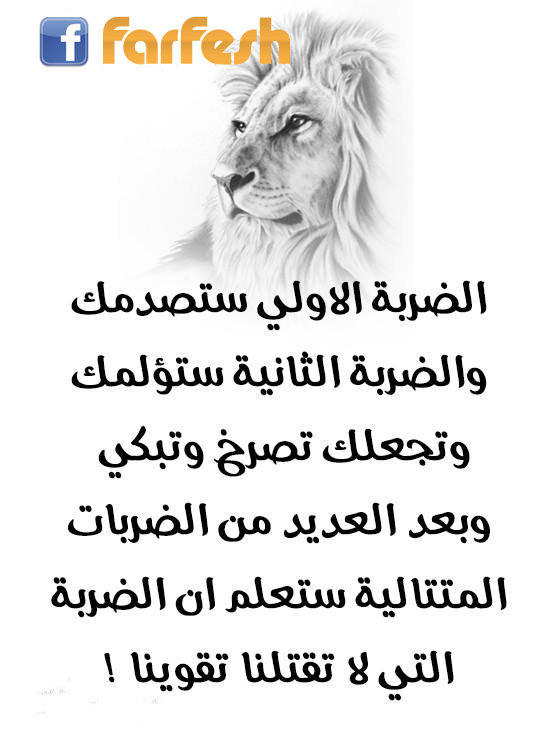 ���� �� ������ �������