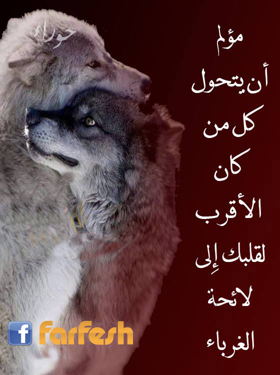 ���� �� ����� �� �� ��� ������ ����� ��� ����� �������