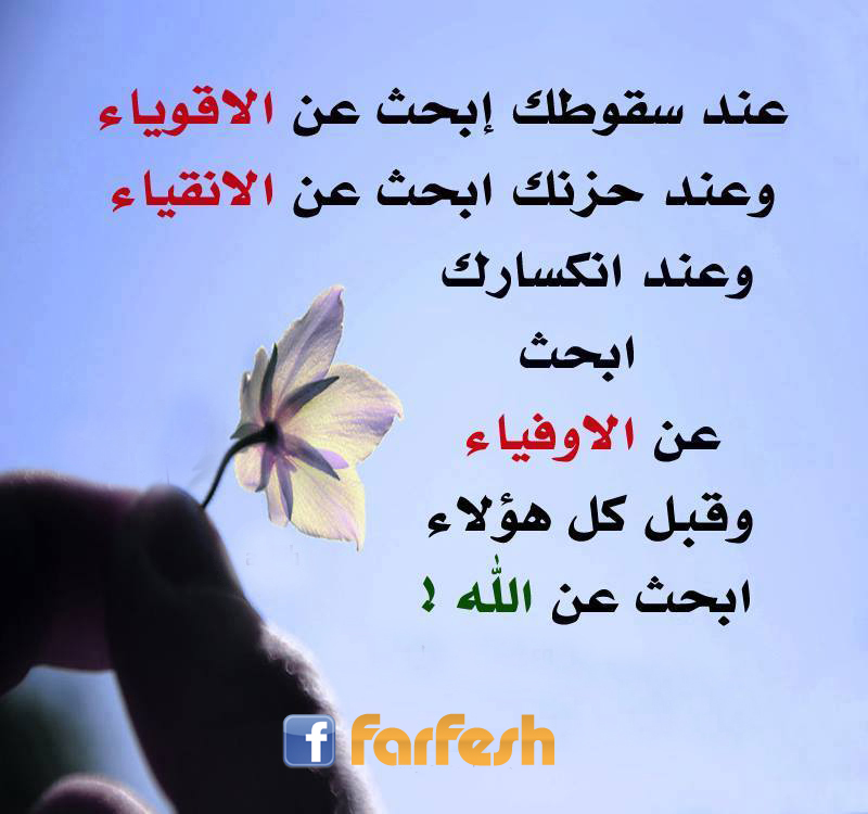 ������ �����