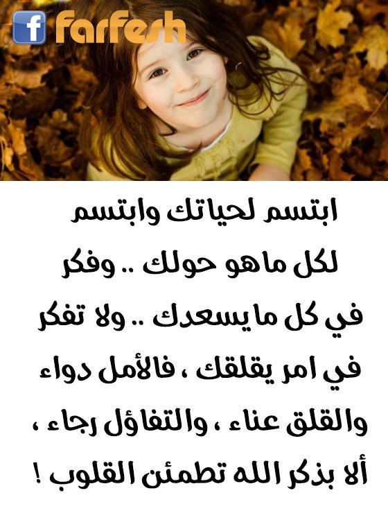 ����� ������ ���� ����