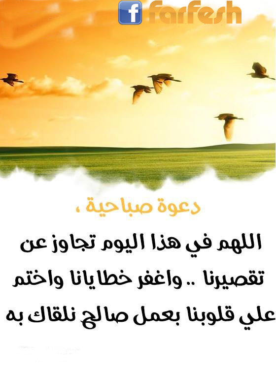 ���� ������ �����