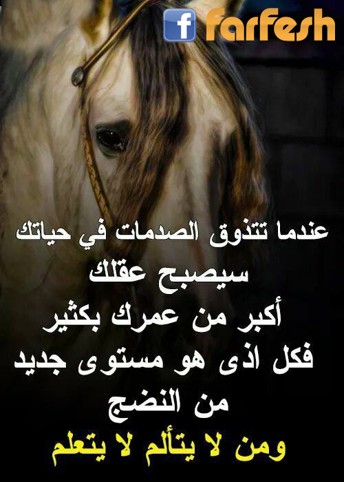 ��� �� ����� �� �����