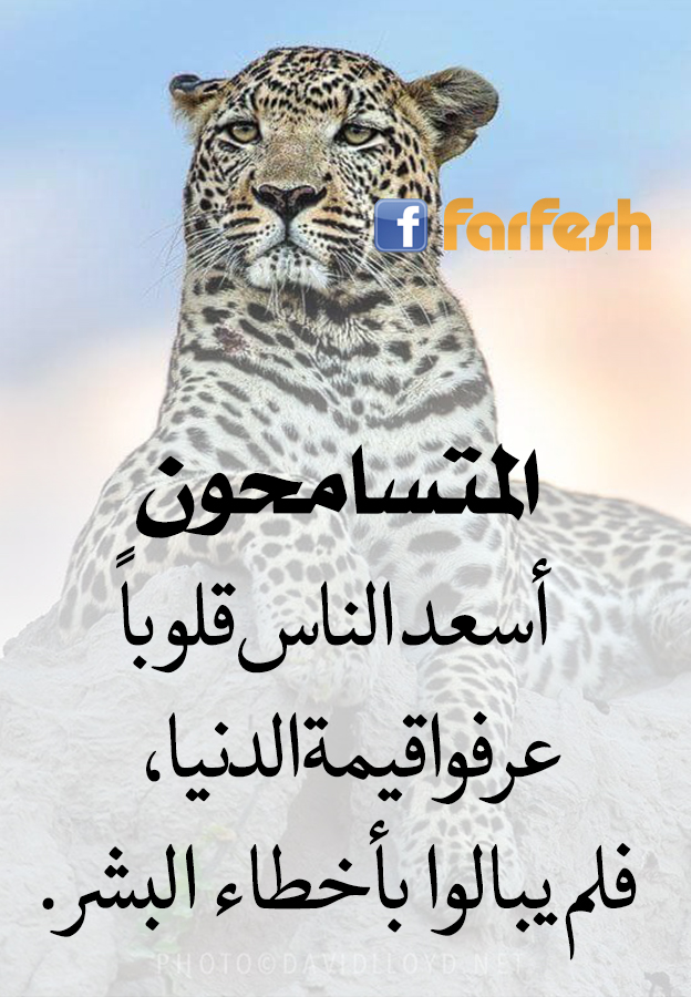 ���������� ���� ����� �����