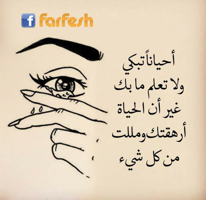 ������ ���� ��� ���� �� ��