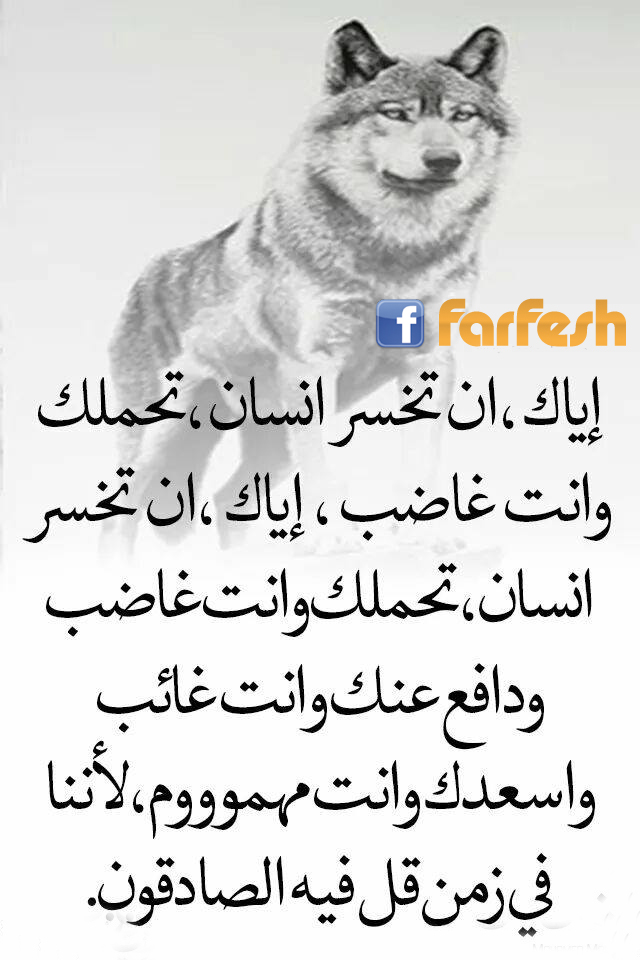 ����� ������ �� ��� ����� �������.. ������� �� ������ ���� �������� 