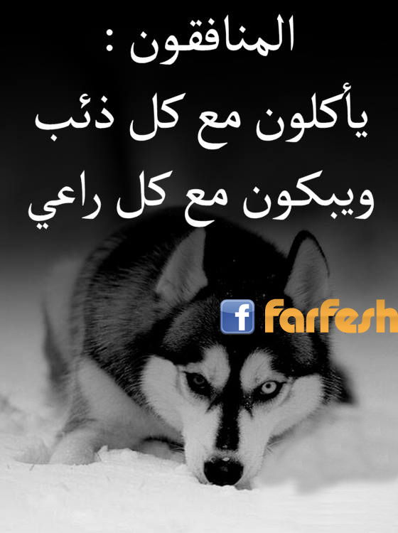 ��������� ������ �� �� ���