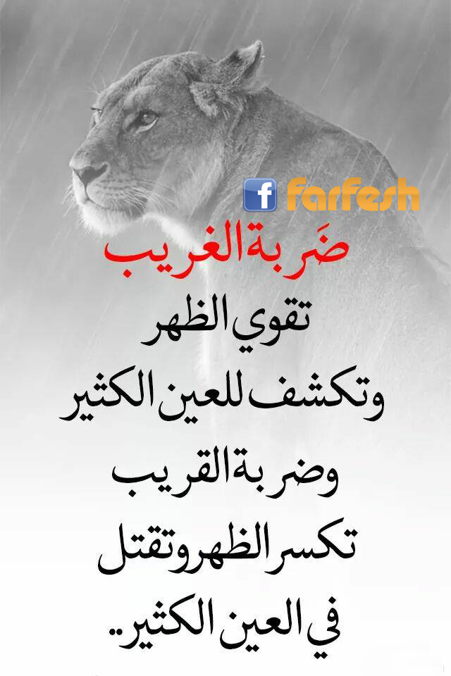 ���� ������ ���� �����