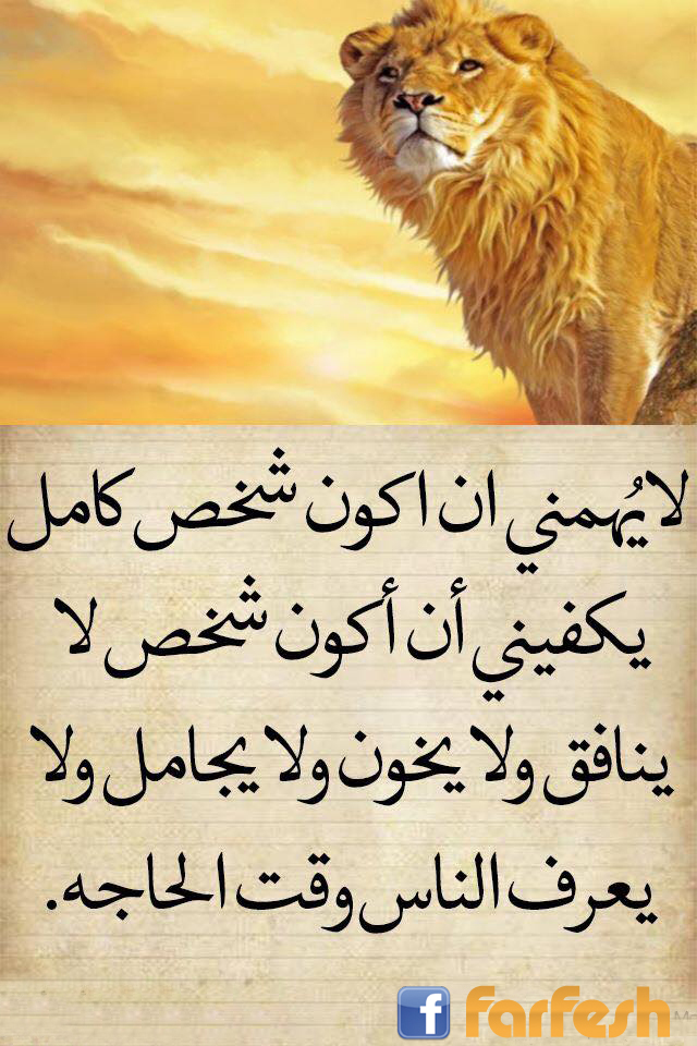 ������ �� ���� ��� �� �����