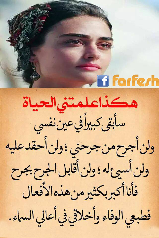 ���� ������ ������