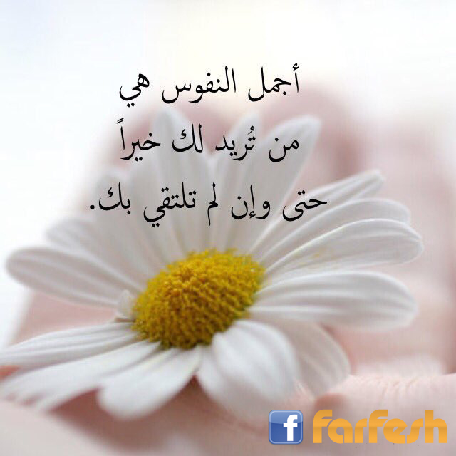 ���� ������ �� �� ���� �� ����