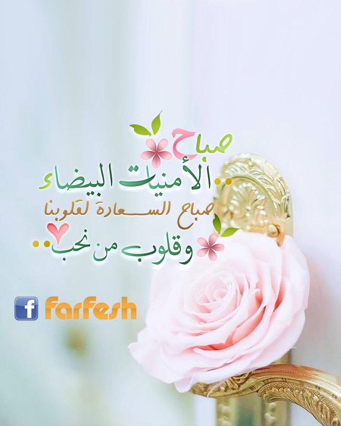 ���� �������� �������