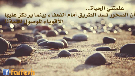 ������ ������ �� ������ ��� ������ ���� �������