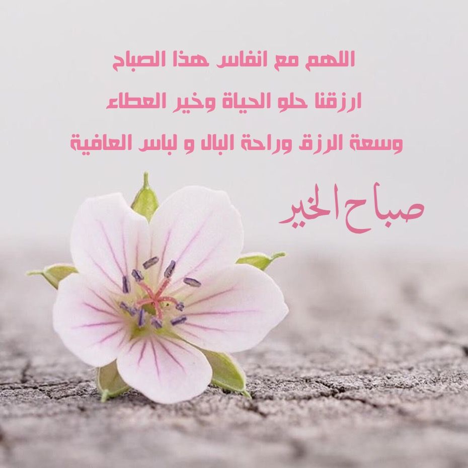 ���� ����� 