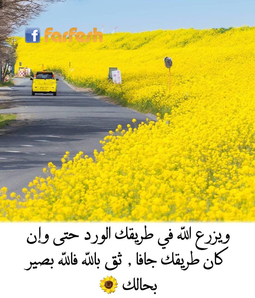 �� ����� ��� ���� �� ����� ����� ���� ���� ������ �����.. 