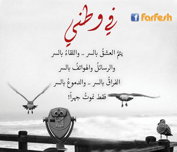 ����� ����� �� ���� ����ѿ ��� ��� �� �����俿 