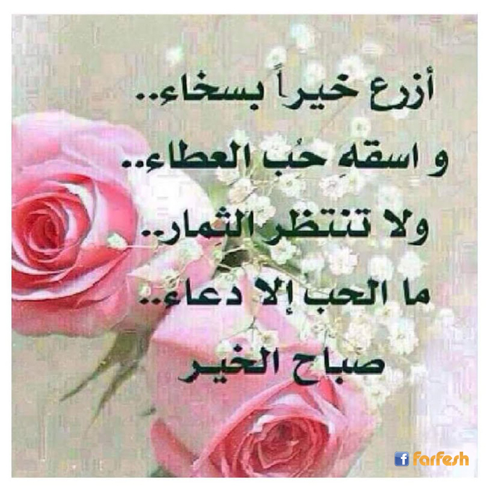 ���� ������ ������