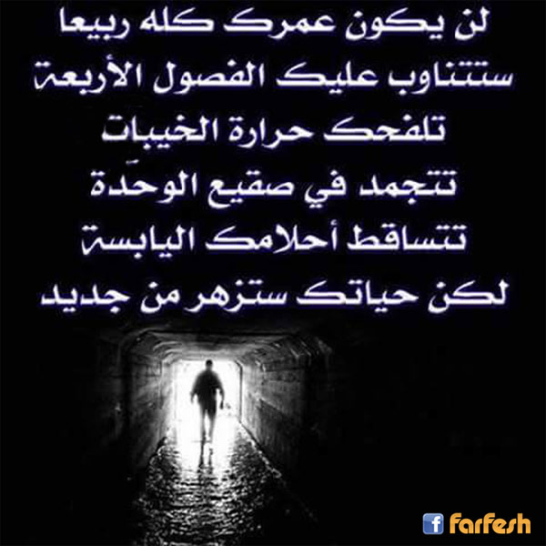 �� ���� ���� ��� �����