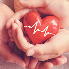 ������ ���� ������ ��� ���� ����