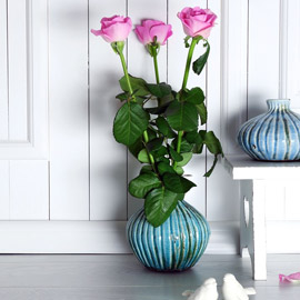 ����� ������ �����.. ����� ��� �����