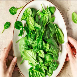 ����� ���� ����� �� ������� ��������.. ������ �� ���� ������