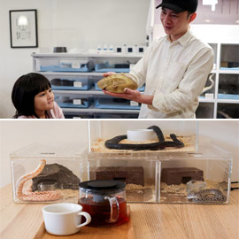 ���� ����� �����.. ���� ����� ���� ������� ������ ������ ������