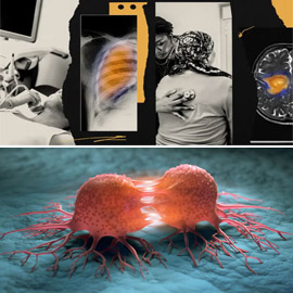 �����: 6 ����� �� ������� ��� ������ ���� ����