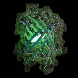 ����� ���� �� ��� ����� �� ������� ������ ���� �����!