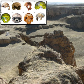 ������ ����� ��� ���� �� ����� ��� ���� ������� �������