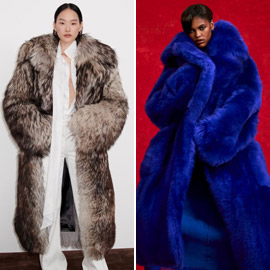 ���� ����� ����� ����� ��������� ����� 2025 ���� ������� ���