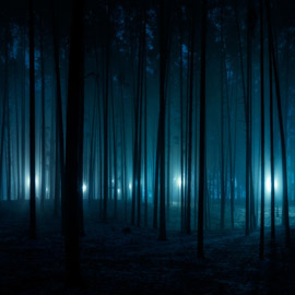 ������ �������.. ����� ����� ����� ���� ���� ������� �����