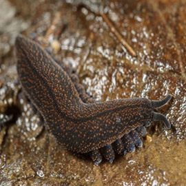 ���� ����� �� ���������.. ���� ������ ����� ����� �������!