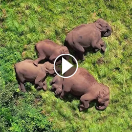 ���� ���� ����� ����� ����� ����� �� ���� ���� ��� ��� ����� ������