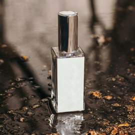 ���� ����� ������ ��� ���� �������.. ����� ��� �� �����!