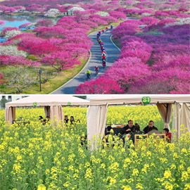 ��� ����� ����� ��� ������ ��� ������